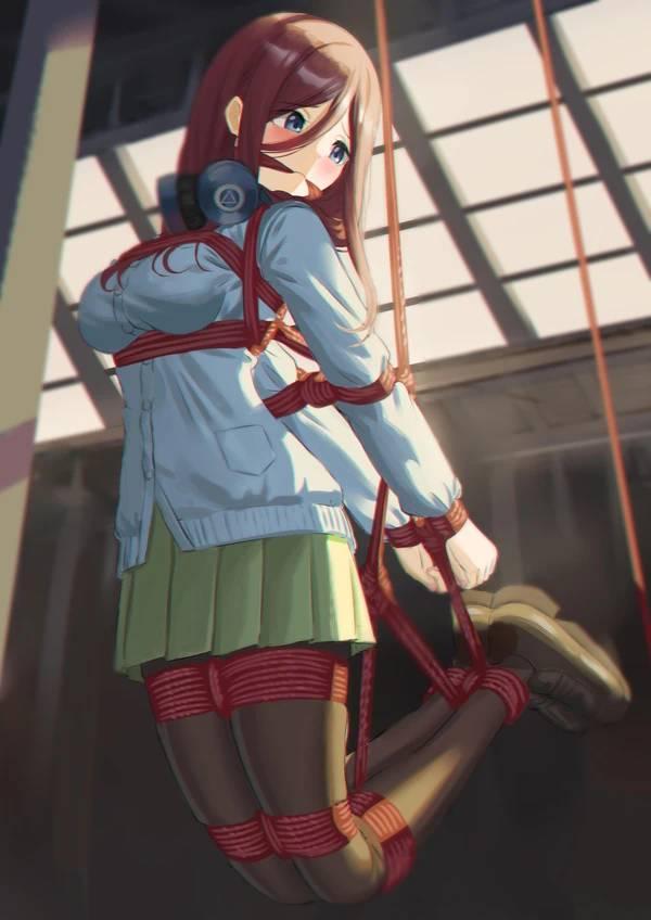 笼中鸟封面